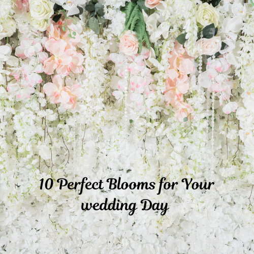 10 Perfect Blooms for Your wedding Day