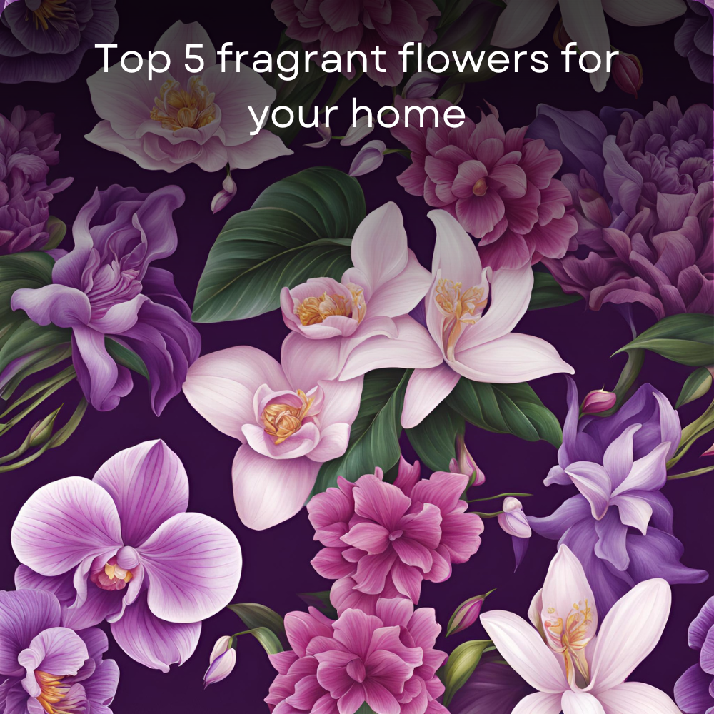 Top 5 fragrant flowers for your home