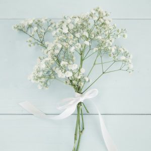 A Guide to Caring for Baby’s Breath Flowers