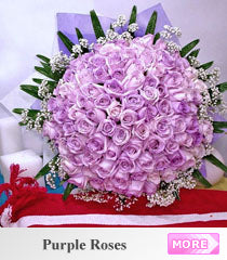 Purple Color Roses