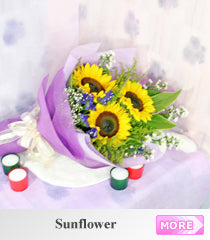 Sunflower ( Sunny )