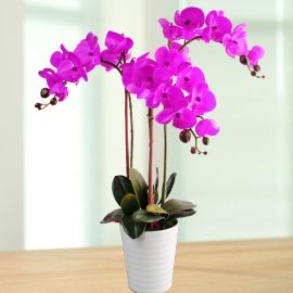 Artificial Phalaenopsis Purple Orchid Table Arrangement